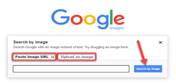 How does a face search on a picture 1 How does a face search on a picture 1