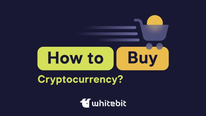 Best Crypto Pairs to Trade on WhiteBIT