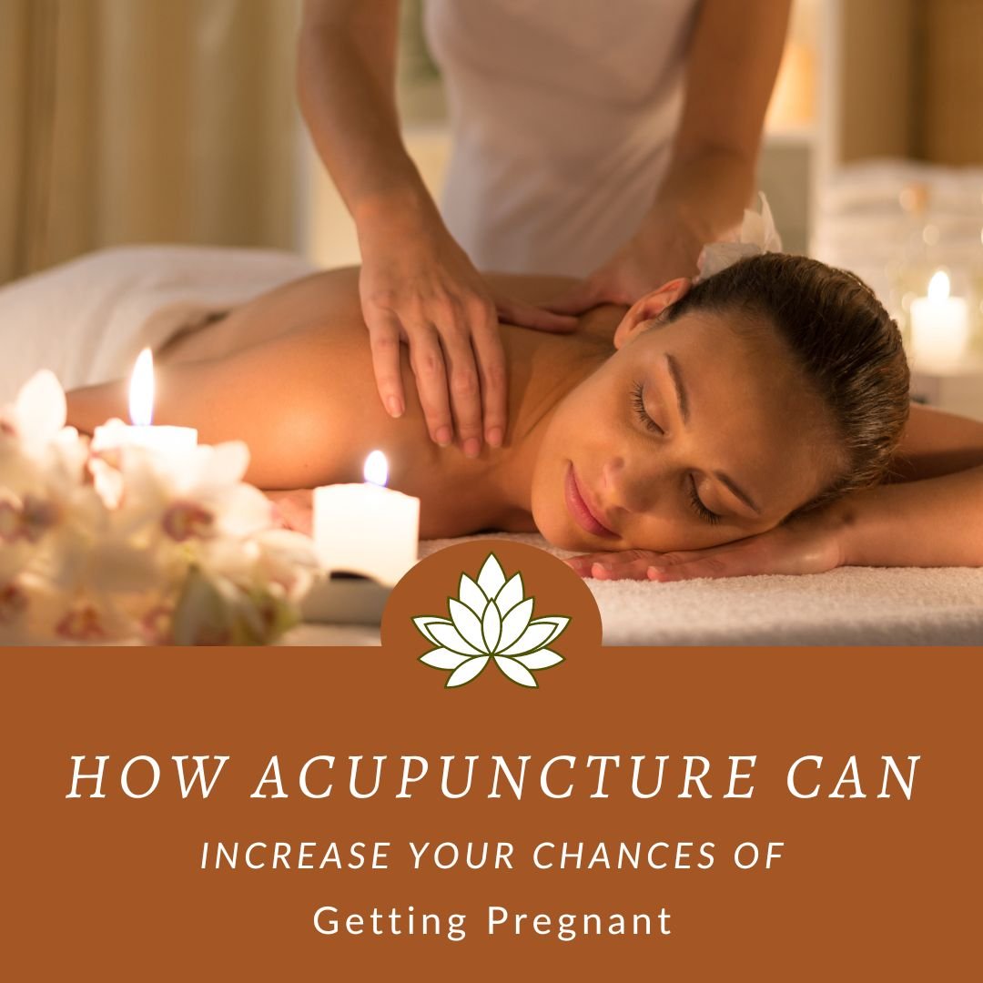 How Acupuncture Can Increase Your Chances of Getting Pr...