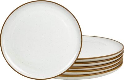 The Timeless Elegance of Earthenware: A Dive into Ceramic Dinner Plates