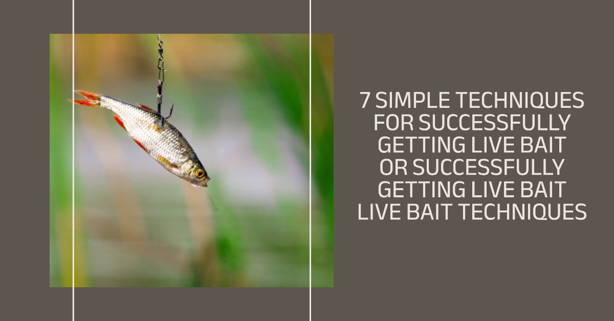 7 Simple Techniques for Successfully Getting Live Bait...