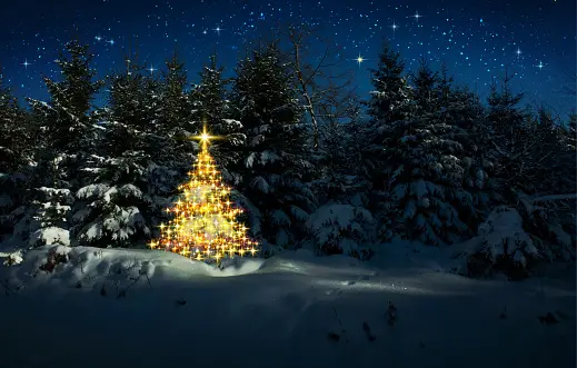 Safari Lights and Christmas Nights: Making Memories in South Africa 1 Christmas Nights