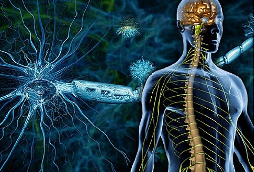 Exploring the Complexities of Nervous System Dysregulation 1