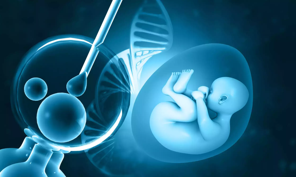 Discover Aastha Fertility: Leading the Way in IVF Success Rates in Jaipur 2 IVF Success Rate At Aastha Fertility Care