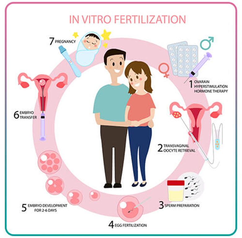Discover Aastha Fertility: Leading the Way in IVF Success Rates in Jaipur 3 IVF Treatment Services Offered and Their Cost