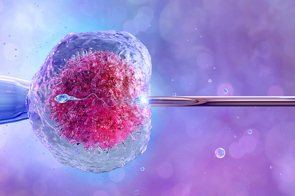 Discover Aastha Fertility: Leading the Way in IVF Success Rates in Jaipur 4 IVF Treatment with VEA