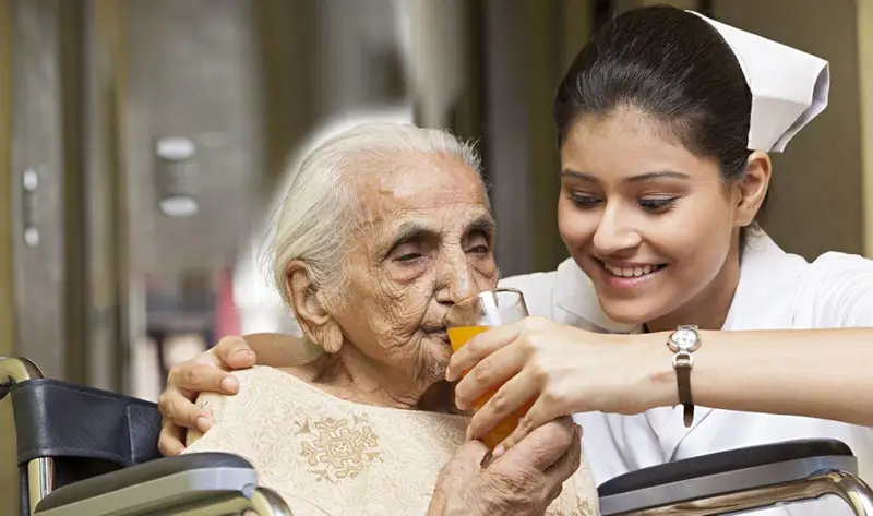 The Role of Home Nursing Services and Old Age Homes in ...